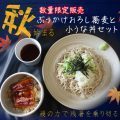 ぶっかけおろし蕎麦と小うな丼セット